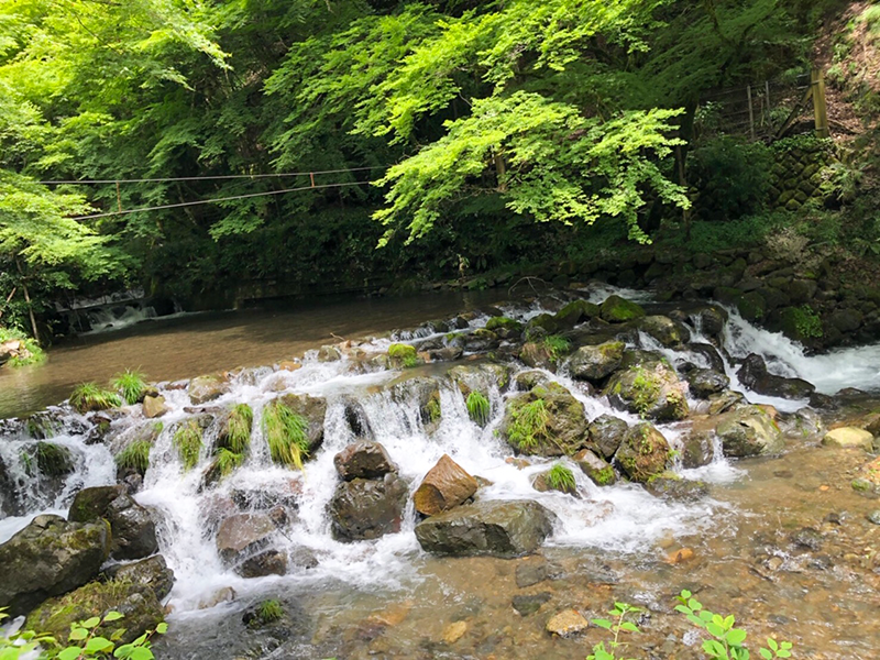 京都 オーガニック Rich 京都 オーガニック Rich